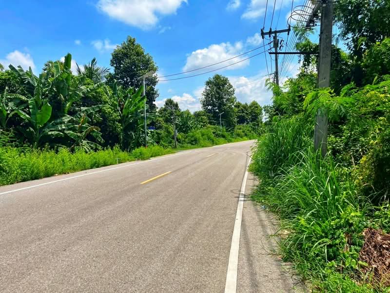 ที่ดินมโนรมย์ ชัยนาท, Chai Nat, Khung Samphao, Manorom, Chai Nat, , 17,080 sqm, Land For Sale, by The Best Property แอ้, 500161841 - DDproperty.com