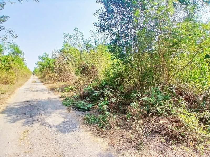 ที่ดินองครักษ์ นครนายก, Nakhon Nayok, Ongkharak, Ongkharak, Nakhon Nayok, , 3,200 sqm, Land For Sale, by The Best Property แอ๊ด, 500161855 - DDproperty.com