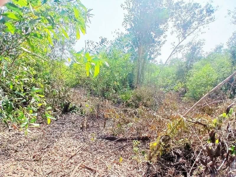 ที่ดินองครักษ์ นครนายก, Nakhon Nayok, Ongkharak, Ongkharak, Nakhon Nayok, , 3,200 sqm, Land For Sale, by The Best Property แอ๊ด, 500161855 - DDproperty.com