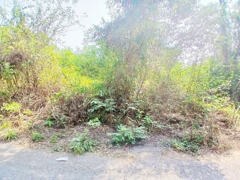 ที่ดินองครักษ์ นครนายก, Nakhon Nayok, Ongkharak, Ongkharak, Nakhon Nayok, , 3,200 sqm, Land For Sale, by The Best Property แอ๊ด, 500161855 - DDproperty.com