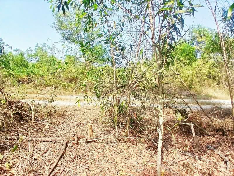 ที่ดินองครักษ์ นครนายก, Nakhon Nayok, Ongkharak, Ongkharak, Nakhon Nayok, , 3,200 sqm, Land For Sale, by The Best Property แอ๊ด, 500161855 - DDproperty.com