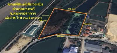 ขาย - WPDD-067 ขายที่ดิน 15 ไร่ ผังสีม่วง บางพลี สมุทรปราการ สำหรับสร้างโรงงาน, สมุทรปราการ