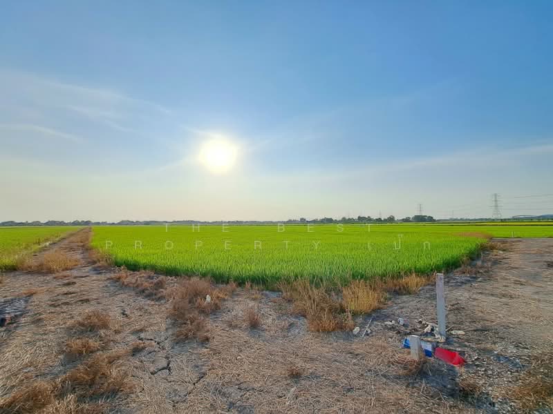 ที่ดินไทรน้อย นนทบุรี, Nonthaburi, Khun Sri, Sai Noi, Nonthaburi, , 8,772 sqm, Land For Sale, by The Best Property เป๊ก, 500162015 - DDproperty.com