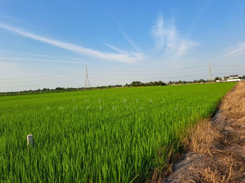 ที่ดินไทรน้อย นนทบุรี, นนทบุรี, ขุนศรี, ไทรน้อย, นนทบุรี, 8,772 ตร.ม., ที่ดิน ขาย, โดย The Best Property เป๊ก, 500162015 - DDproperty.com