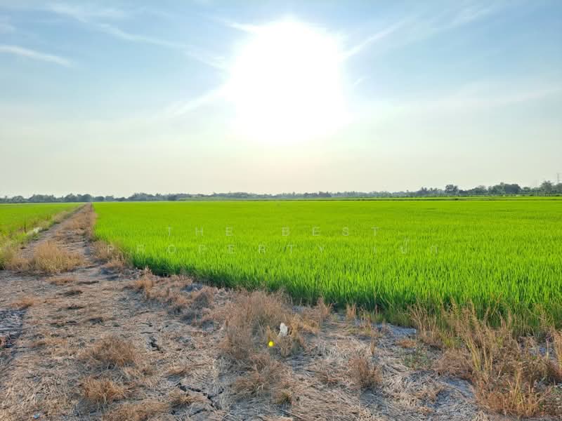 ที่ดินไทรน้อย นนทบุรี, Nonthaburi, Khun Sri, Sai Noi, Nonthaburi, , 8,772 sqm, Land For Sale, by The Best Property เป๊ก, 500162015 - DDproperty.com