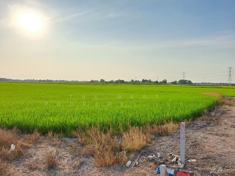 ที่ดินไทรน้อย นนทบุรี, นนทบุรี, ขุนศรี, ไทรน้อย, นนทบุรี, 8,772 ตร.ม., ที่ดิน ขาย, โดย The Best Property เป๊ก, 500162015 - DDproperty.com