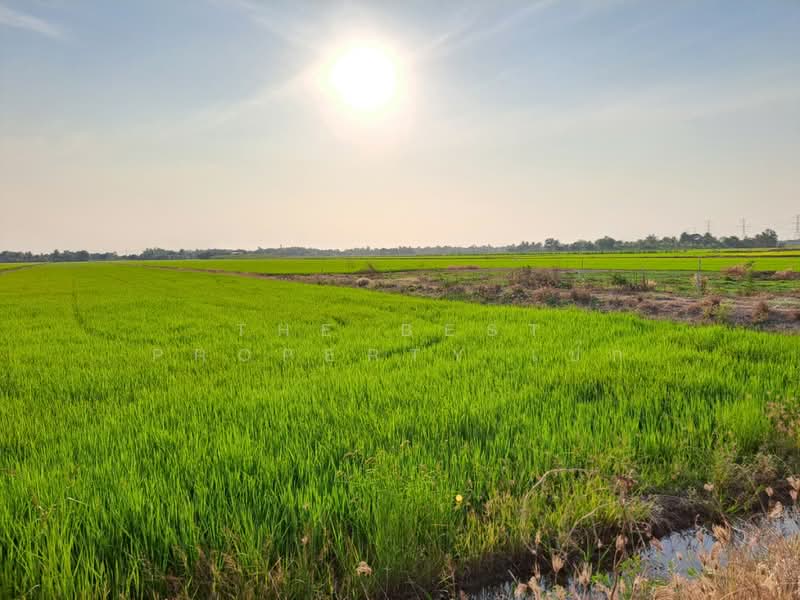 ที่ดินไทรน้อย นนทบุรี, Nonthaburi, Khun Sri, Sai Noi, Nonthaburi, , 8,772 sqm, Land For Sale, by The Best Property เป๊ก, 500162015 - DDproperty.com
