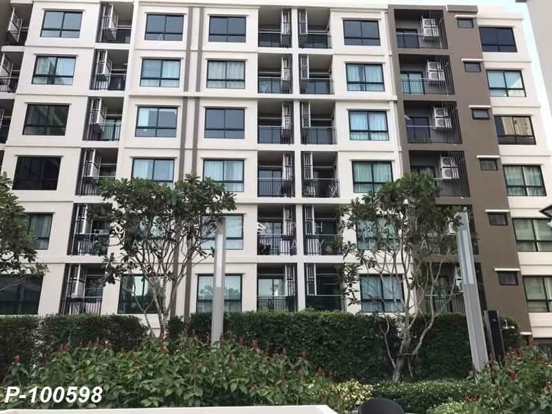 Supalai City Resort Bearing Station, Bangkok, 128 Sukhumvit, Bang Na, Bang Na, Bangkok, 1 Bedroom, 45 sqm, Condo For Rent, by Nichaphat Sakunchayapha, 500162445 - DDproperty.com