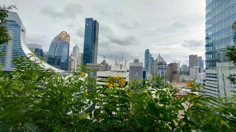 Somkid Gardens, Bangkok, Ploenchit, Lumphini, Pathum Wan, Bangkok, 3 Bedrooms, 437 sqm, Condo For Sale, by Nitchakarn  Wanitwichakornkit , 500162546 - DDproperty.com