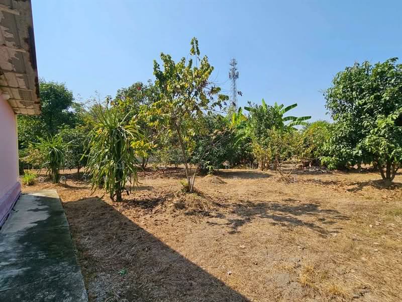 ที่ดิน + บ้านเดี่ยว 1 ชั้น 1 ไร่ 76 ตร.ว. โครงการบ้านสวนเกษตร ย่านวัดสุขใจ ซอยสวนเกษตรสุขใจ1, กรุงเทพ, ทรายกองดิน, คลองสามวา, กรุงเทพ, 1,904 ตร.ม., ที่ดิน ขาย, โดย คุณ ณัจภสิญาค์ ศุภควัษฐ์กาญกุล (ณิชชา), 500162738 - DDproperty.com