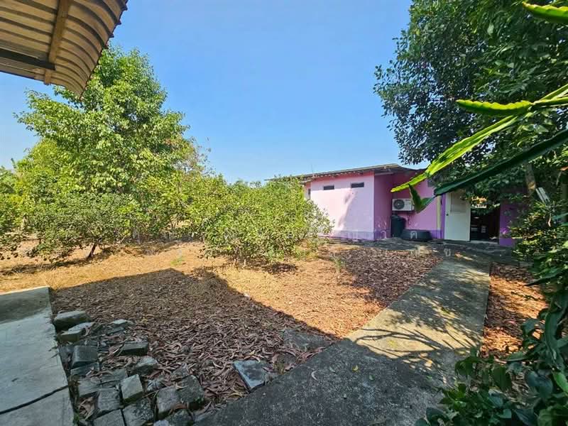 ที่ดิน + บ้านเดี่ยว 1 ชั้น 1 ไร่ 76 ตร.ว. โครงการบ้านสวนเกษตร ย่านวัดสุขใจ ซอยสวนเกษตรสุขใจ1, กรุงเทพ, ทรายกองดิน, คลองสามวา, กรุงเทพ, 1,904 ตร.ม., ที่ดิน ขาย, โดย คุณ ณัจภสิญาค์ ศุภควัษฐ์กาญกุล (ณิชชา), 500162738 - DDproperty.com