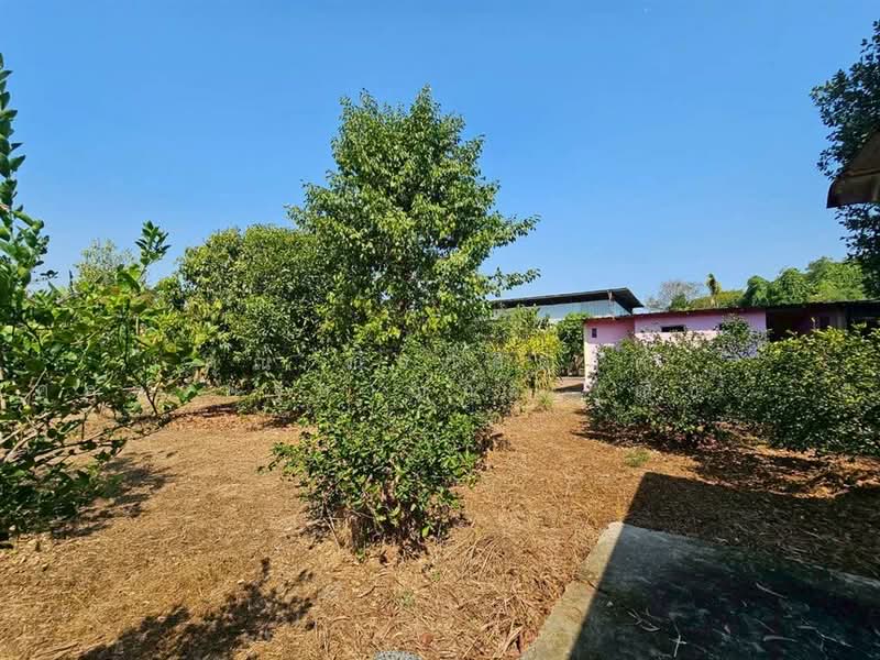 ที่ดิน + บ้านเดี่ยว 1 ชั้น 1 ไร่ 76 ตร.ว. โครงการบ้านสวนเกษตร ย่านวัดสุขใจ ซอยสวนเกษตรสุขใจ1, Bangkok, Sai Kong Din, Khlong Sam Wa, Bangkok, , 1,904 sqm, Land For Sale, by คุณ ณัจภสิญาค์ ศุภควัษฐ์กาญกุล (ณิชชา), 500162738 - DDproperty.com