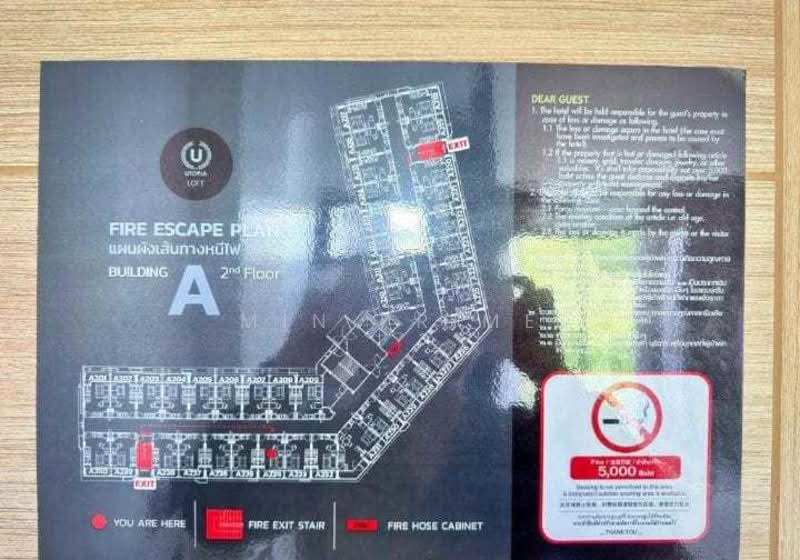 Utopia Urban Lux & Glam, Phuket, Rawai, Muang Phuket, Phuket, 1 Bedroom, 35 sqm, Condo For Rent, by Min Prime, 500162773 - DDproperty.com