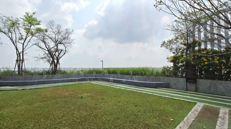 The Tree Pattanakarn-Ekkamai : เดอะ ทรี พัฒนาการ-เอกมัย, กรุงเทพ, 89 ถนนพัฒนาการ, สวนหลวง, สวนหลวง, กรุงเทพ, 30 ตร.ม., คอนโด ขาย, โดย คุณ พลอยวาลินน์ (วาลินน์), 500162785 - DDproperty.com