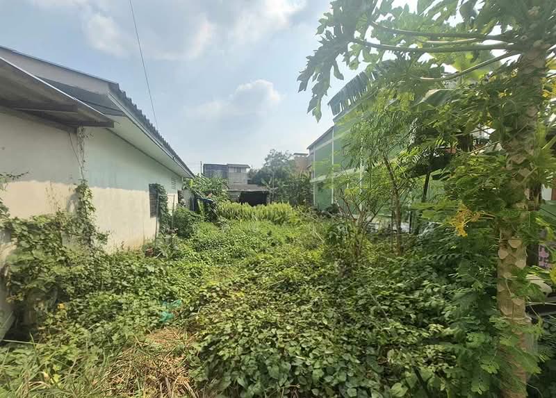 ที่ดิน 75 ตารางวา ซอยกระทุ่มล้ม 33 ถนนพุทธมณฑลสาย 4, สมุทรสาคร, อ้อมน้อย, กระทุ่มแบน, สมุทรสาคร, 300 ตร.ม., ที่ดิน ขาย, โดย กรกฤตย์ บุญสระ, 500162811 - DDproperty.com