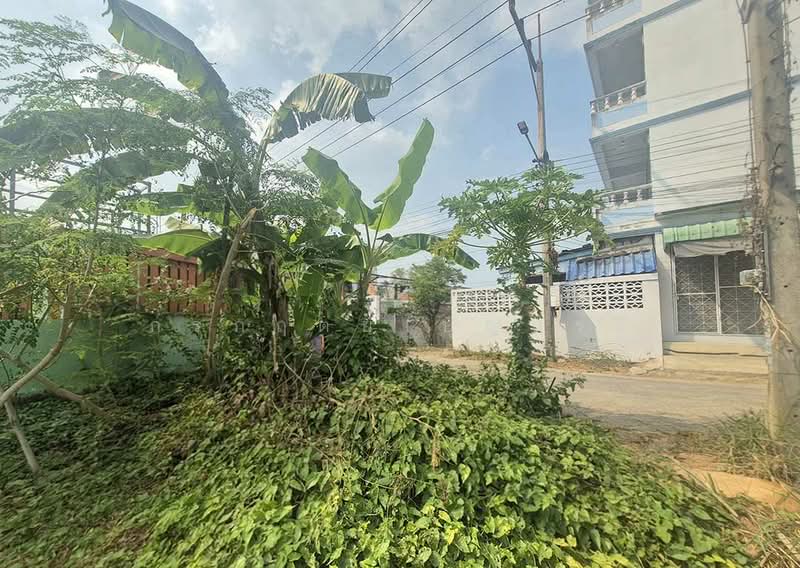 ที่ดิน 75 ตารางวา ซอยกระทุ่มล้ม 33 ถนนพุทธมณฑลสาย 4, Samut Sakhon, Om Noi, Krathum Baen, Samut Sakhon, , 300 sqm, Land For Sale, by กรกฤตย์ บุญสระ, 500162811 - DDproperty.com