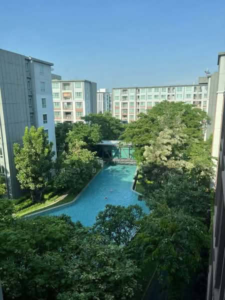 Dcondo Ping, Chiang Mai, 243 Super Highway Road Chiang Mai - Lampang, Fa Ham, Muang Chiang Mai, Chiang Mai, 1 Bedroom, 30 sqm, Condo For Sale, by อรกัญญา สายวังกิจ, 500162859 - DDproperty.com