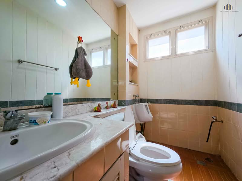 Moobaan Parichard 345, Pathum Thani, 345 Road, Bang Khu Wat, Muang Pathum Thani, Pathum Thani, 3 Bedrooms, 230 sqm, Single Detached House For Sale, by คุณโอห์ม, 500162866 - DDproperty.com