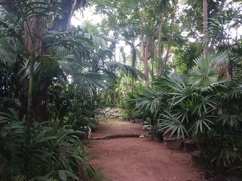 Residential Estate with Multiple Buildings 2 Rai in East Pattaya, Chon Buri (Pattaya), Bang Lamung, Bang Lamung (Pattaya), Chon Buri (Pattaya), 9 Bedrooms, 1,200 sqm, Villa For Sale, by PLC Real Estate, 500162916 - DDproperty.com