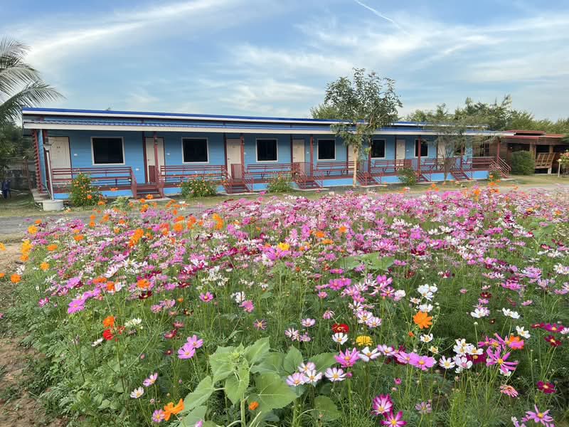 Resort with including the business + Sirindhorn Dam Floating Raft Business, Ubon Ratchathani, Ubon Ratchathani, 217, Nikhom Sang Ton Eng Lam Dom Noi, Si Rin Ton, Ubon Ratchathani, , 9,600 sqm, Business For Sale, by Sirithong Saetang, 500162964 - DDproperty.com