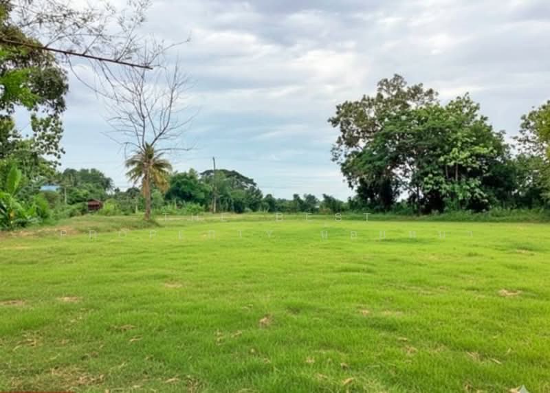 ที่ดินบ้านด่าน อุตรดิตถ์, อุตรดิตถ์, บ้านด่าน, เมืองอุตรดิตถ์, อุตรดิตถ์, 9,908 ตร.ม., ที่ดิน ขาย, โดย The Best Property น้อยหน่า, 500163034 - DDproperty.com