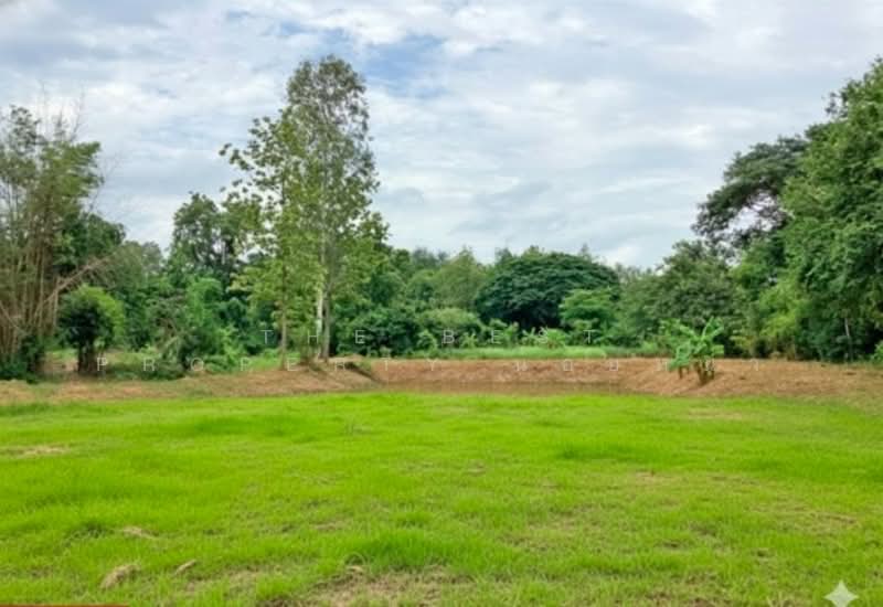 ที่ดินบ้านด่าน อุตรดิตถ์, อุตรดิตถ์, บ้านด่าน, เมืองอุตรดิตถ์, อุตรดิตถ์, 9,908 ตร.ม., ที่ดิน ขาย, โดย The Best Property น้อยหน่า, 500163034 - DDproperty.com