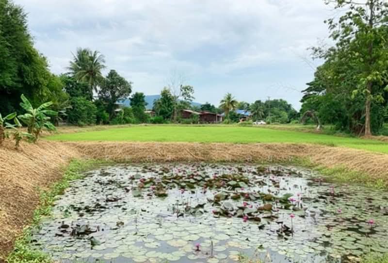 ที่ดินบ้านด่าน อุตรดิตถ์, อุตรดิตถ์, บ้านด่าน, เมืองอุตรดิตถ์, อุตรดิตถ์, 9,908 ตร.ม., ที่ดิน ขาย, โดย The Best Property น้อยหน่า, 500163034 - DDproperty.com
