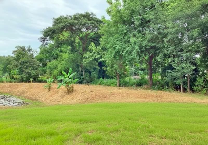 ที่ดินบ้านด่าน อุตรดิตถ์, Uttaradit, Ban Dan, Muang Uttaradit, Uttaradit, , 9,908 sqm, Land For Sale, by The Best Property น้อยหน่า, 500163034 - DDproperty.com