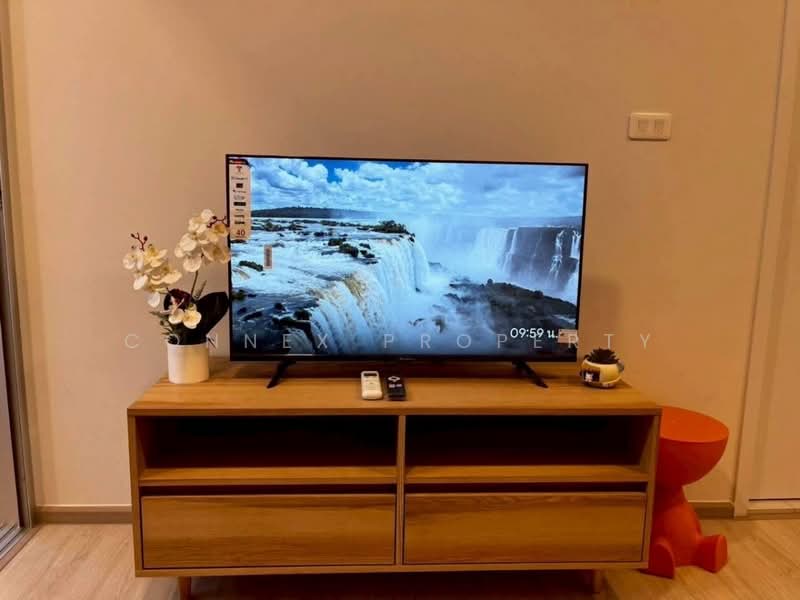 Plum Condo Sukhumvit 62, Bangkok, Sukhumvit 62, Bang Chak, Phra Khanong, Bangkok, 1 Bedroom, 29 sqm, Condo For Rent, by Connex Property, 500163149 - DDproperty.com