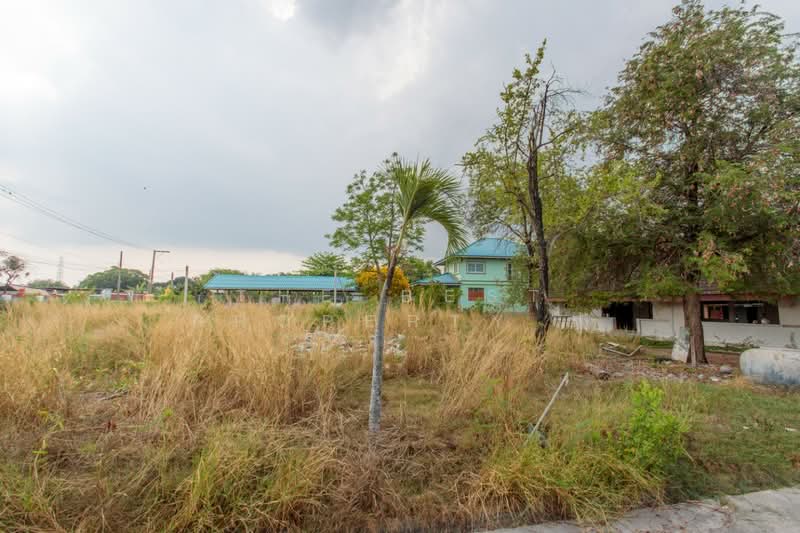 ที่ดินบางพลี สมุทรปราการ, สมุทรปราการ, บางปลา, บางพลี, สมุทรปราการ, 3,360 ตร.ม., ที่ดิน ขาย, โดย The Best Property ปู, 500163150 - DDproperty.com