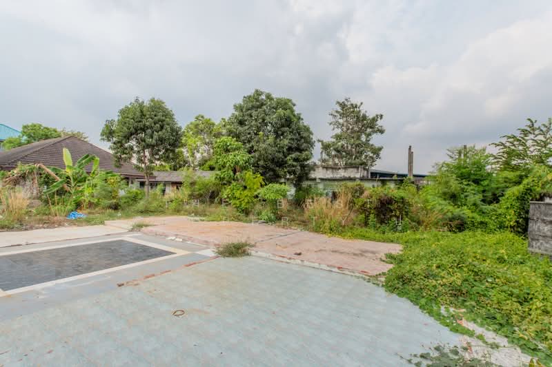 ที่ดินบางพลี สมุทรปราการ, Samut Prakan, Bang Pla, Bang Plee, Samut Prakan, , 3,360 sqm, Land For Sale, by The Best Property ปู, 500163150 - DDproperty.com