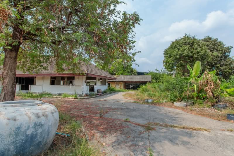 ที่ดินบางพลี สมุทรปราการ, Samut Prakan, Bang Pla, Bang Plee, Samut Prakan, , 3,360 sqm, Land For Sale, by The Best Property ปู, 500163150 - DDproperty.com