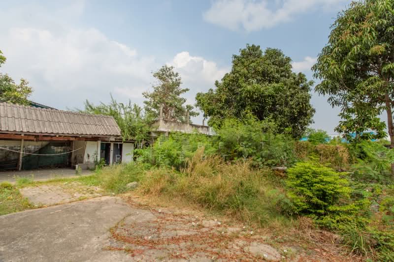ที่ดินบางพลี สมุทรปราการ, Samut Prakan, Bang Pla, Bang Plee, Samut Prakan, , 3,360 sqm, Land For Sale, by The Best Property ปู, 500163150 - DDproperty.com