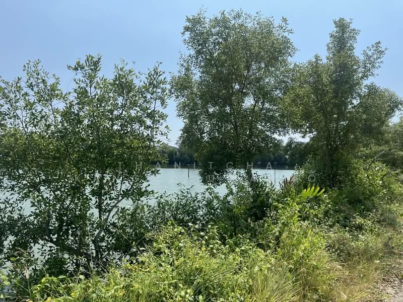 For Sale - ที่ดินพระสมุทรเจดีย์, Samut Prakan