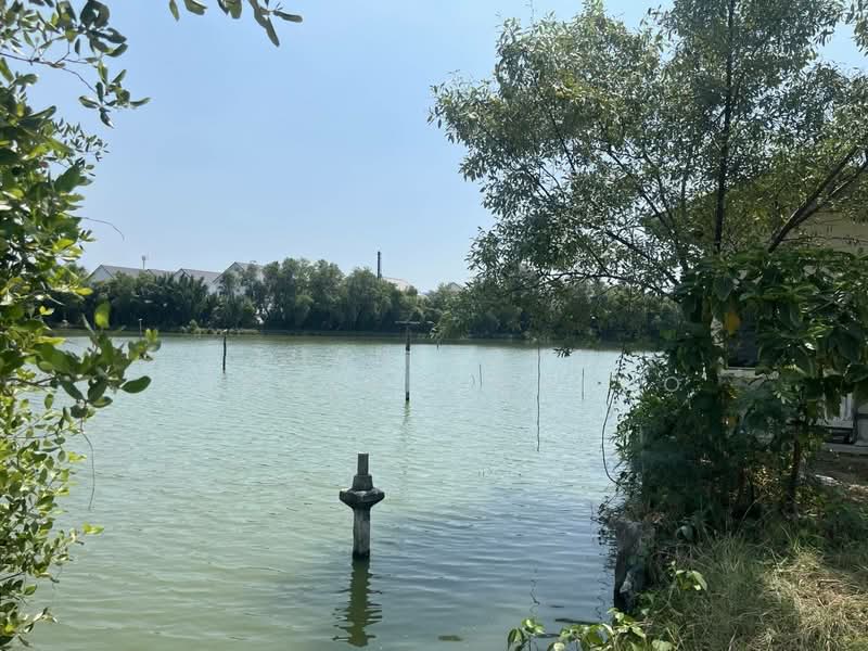 For Sale - ที่ดินพระสมุทรเจดีย์, Samut Prakan