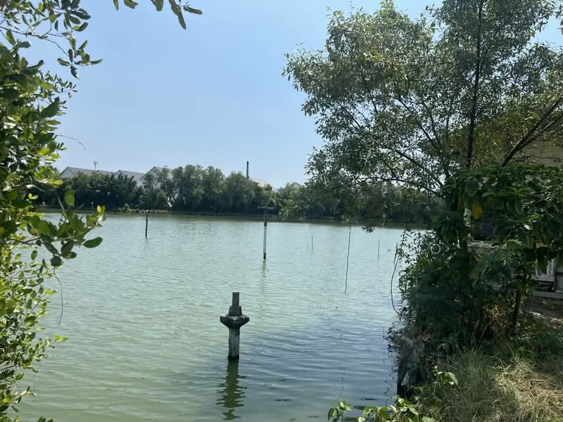 For Sale - ที่ดินพระสมุทรเจดีย์, Samut Prakan