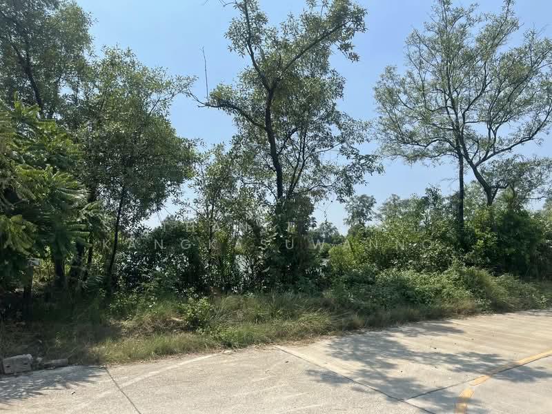 For Sale - ที่ดินพระสมุทรเจดีย์, Samut Prakan