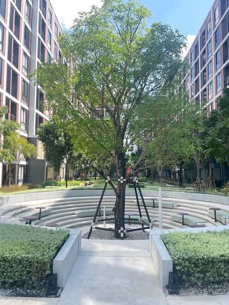 Nue Core Khu Khot Station, Pathum Thani, Khu Khot, Lam Luk Ka, Pathum Thani, Studio, 23 sqm, Condo For Rent, by keymatters property, 500163514 - DDproperty.com