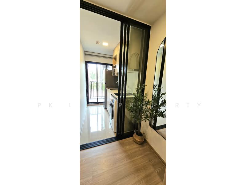 The Base Bukit Phuket, Phuket, 12 Vichitsongkram Rd, Wichit, Muang Phuket, Phuket, 1 Bedroom, 31 sqm, Condo For Rent, by PK LIFE Property, 500163603 - DDproperty.com