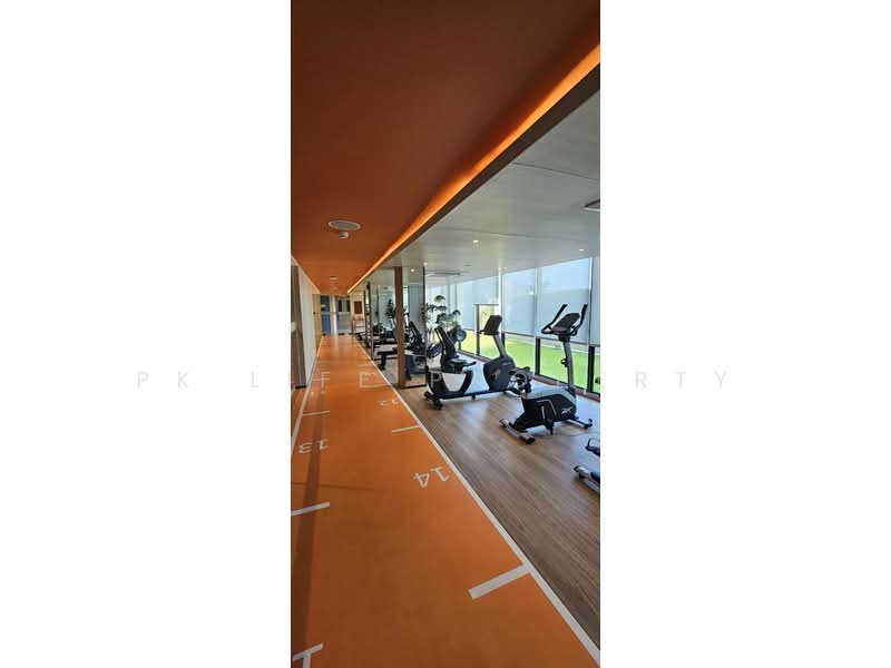 The Base Bukit Phuket : เดอะ เบส บูกิต, ภูเก็ต, 12 ถ.วิชิตสงคราม, วิชิต, เมืองภูเก็ต, ภูเก็ต, 31 ตร.ม., คอนโด ให้เช่า, โดย PK LIFE Property, 500163603 - DDproperty.com