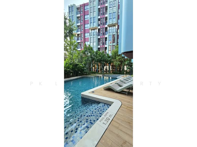 The Base Bukit Phuket, Phuket, 12 Vichitsongkram Rd, Wichit, Muang Phuket, Phuket, 1 Bedroom, 31 sqm, Condo For Rent, by PK LIFE Property, 500163603 - DDproperty.com