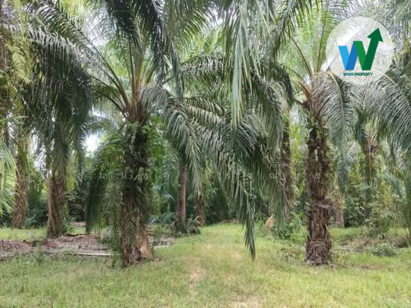 For Land At Ban Phrao Paphayom Phatthalung, Phatthalung, Ban Phrao, Pa Payom, Phatthalung, , 16,560 sqm, Land For Sale, by สุมนทา กรรณนุช, 500163687 - DDproperty.com