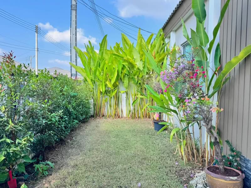 12R0562 This house for rent 3 bedroom 2 bathroom 35,000/month at thalang have fully furnished, ภูเก็ต, ศรีสุนทร, ถลาง, ภูเก็ต, 130 ตร.ม., บ้านแฝด ให้เช่า, โดย PK LIFE Property, 500163707 - DDproperty.com