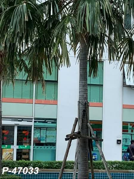 TC Green Rama 9, Bangkok, Rama 9 Road, Huai Khwang, Huai Khwang, Bangkok, 1 Bedroom, 37 sqm, Condo For Rent, by Susira Preuksawun, 500163793 - DDproperty.com