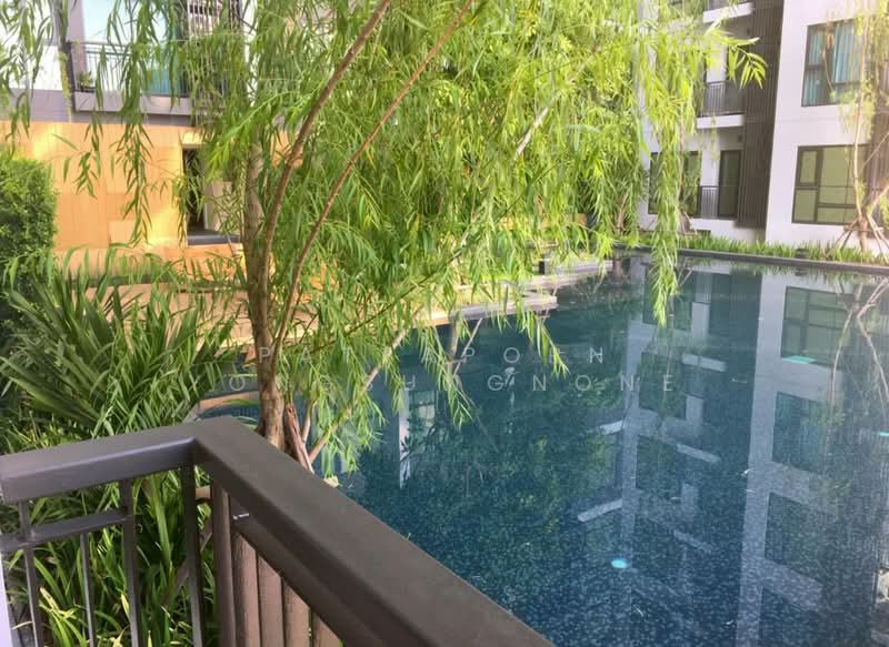 Rhythm Sukhumvit 36-38, Bangkok, 55 Soi Sukhumvit 36, Sukhumvit Road, Phra Kanong, Khlong Toei, Bangkok, 1 Bedroom, 33 sqm, Condo For Rent, by Pattaporn Yongsungnone, 500163811 - DDproperty.com