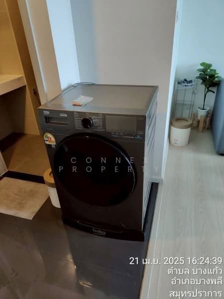 A Space Mega Bangna, Samut Prakan, Bangna-Trad Road, Bang Kaeo, Bang Plee, Samut Prakan, 1 Bedroom, 28 sqm, Condo For Rent, by Connex Property, 500163898 - DDproperty.com