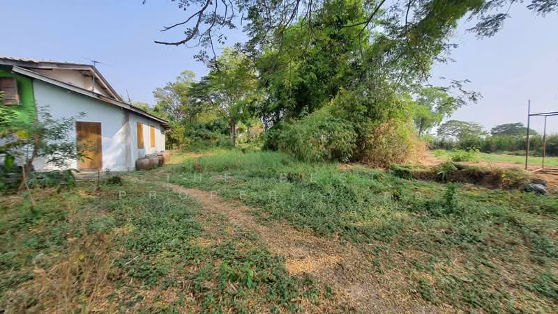 ที่ดินคลองสามวา กรุงเทพมหานคร, Bangkok, Sam Wa Tawan Ok, Khlong Sam Wa, Bangkok, , 800 sqm, Land For Sale, by The Best Property ต่อ, 500164013 - DDproperty.com