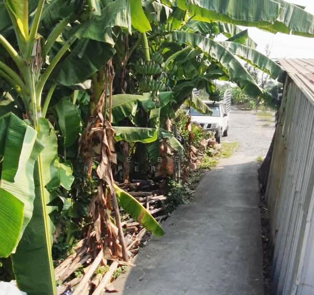 ที่ดินคลองสามวา กรุงเทพมหานคร, กรุงเทพ, สามวาตะวันออก, คลองสามวา, กรุงเทพ, 800 ตร.ม., ที่ดิน ขาย, โดย The Best Property ต่อ, 500164013 - DDproperty.com