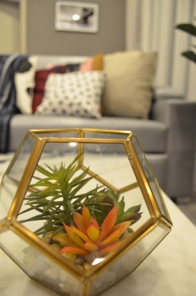 The Line Sukhumvit 101 : เดอะ ไลน์ สุขุมวิท 101, กรุงเทพ, 3009 สุขุมวิท 101, บางจาก, พระโขนง, กรุงเทพ, 33 ตร.ม., คอนโด ให้เช่า, โดย Patraporn Kansri, 500164050 - DDproperty.com