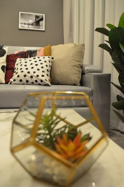 The Line Sukhumvit 101, Bangkok, 3009 Sukhumvit 101 Road, Bang Chak, Phra Khanong, Bangkok, 1 Bedroom, 33 sqm, Condo For Rent, by Patraporn Kansri, 500164050 - DDproperty.com